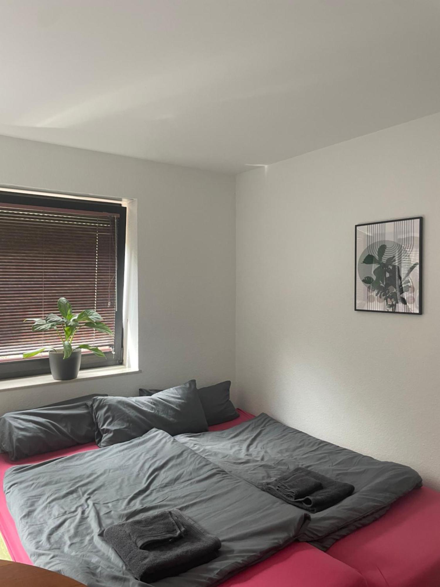 Apartment Schoenes Mit Terrasse Im Steingarten
