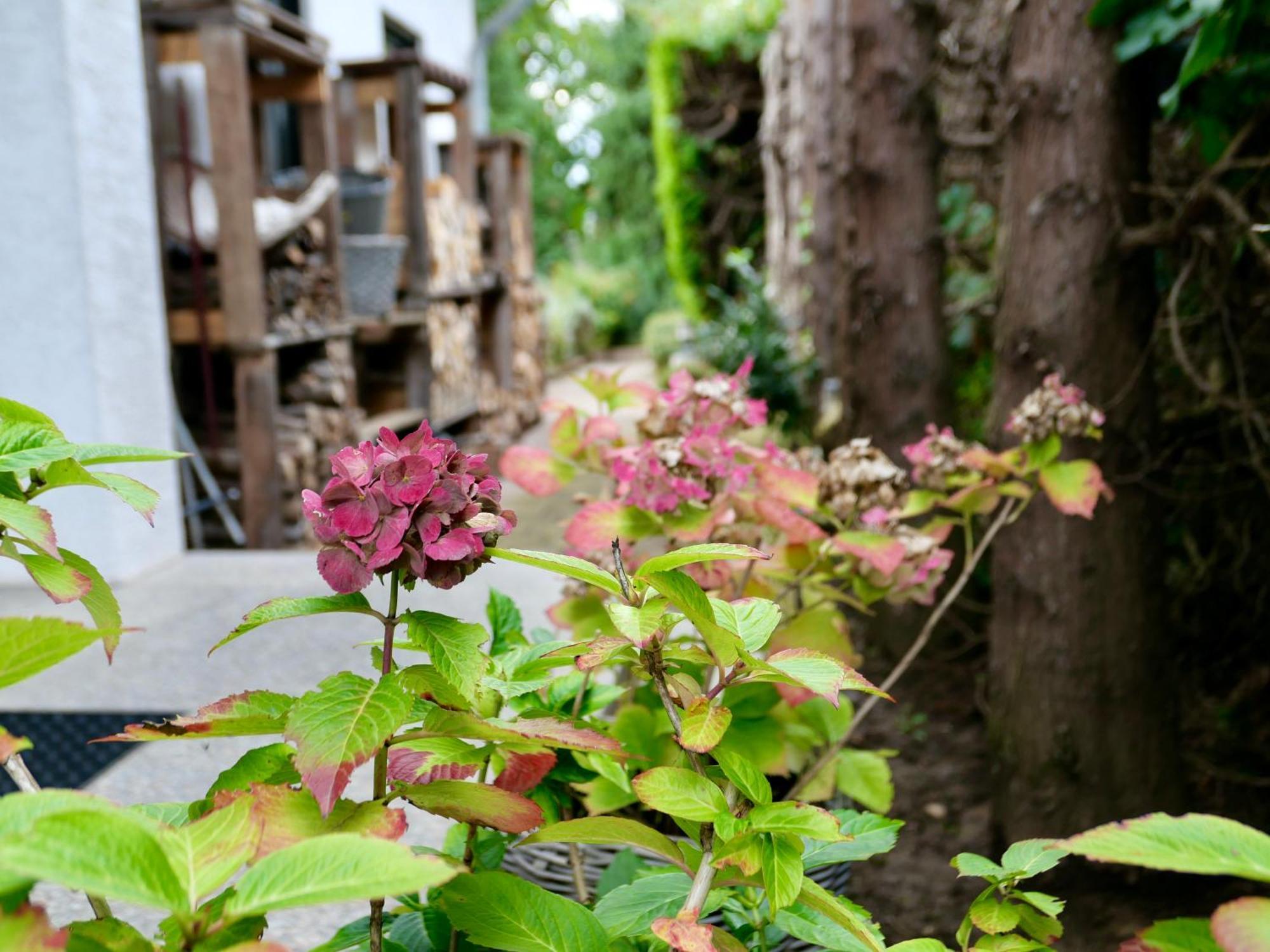 Schoenes Mit Terrasse Im Steingarten